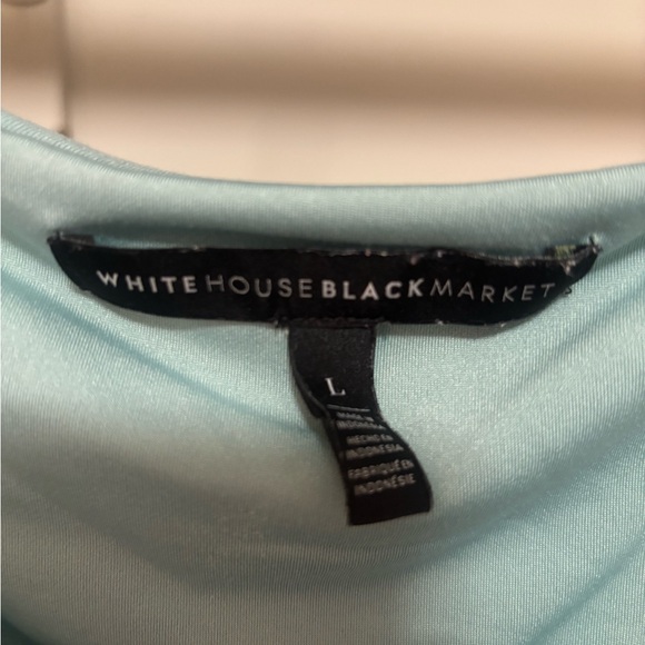 EUC White House Black Market mint green Short Sleeve Scoop Neck lined Tee - Picture 2 of 5